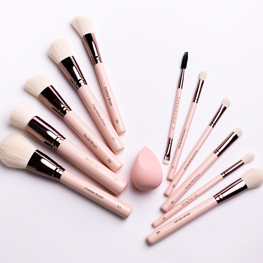 Blush Beauty Makeup Brush Set - 11 pc.